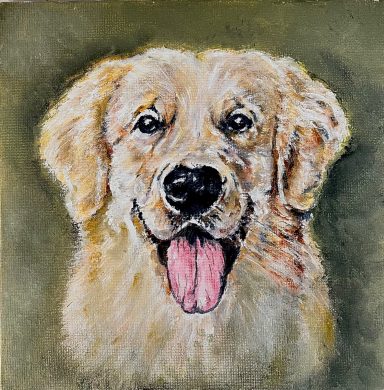 Golden Retriever £220