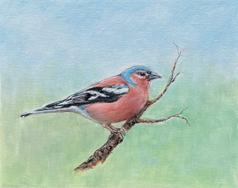 Chaffinch £199