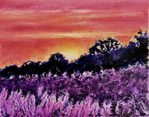 Lavender Field - Sunset £299