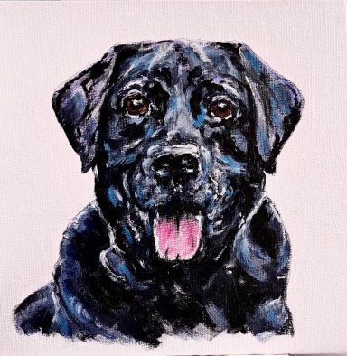 Black Labrador £220