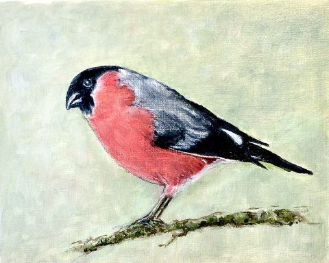 Bullfinch £199