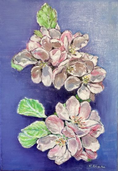Apple Blossom £299