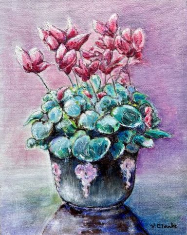 Cyclamen £299