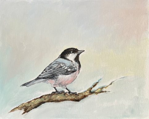Coal Tit £150