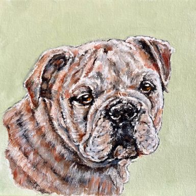 British Bulldog £220