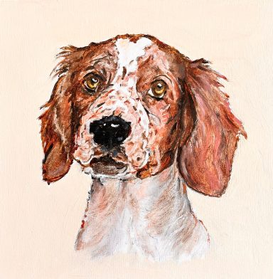 Spaniel £220