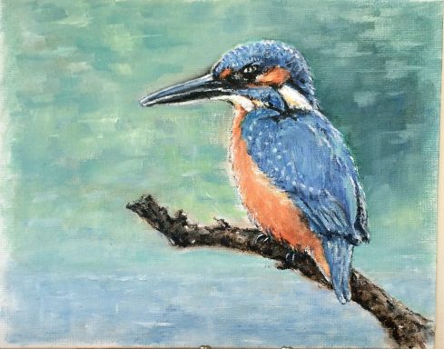 Kingfisher £225