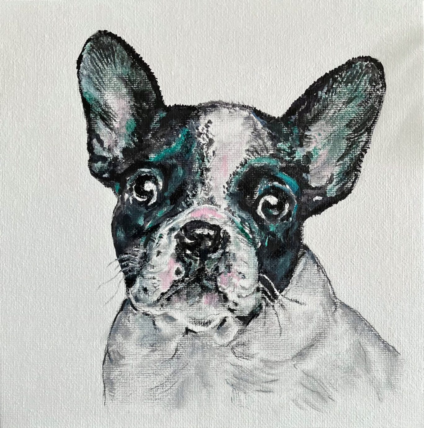 Young French Bulldog