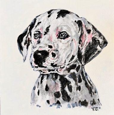 Dalmatian £220