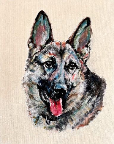 German Shepherd £235