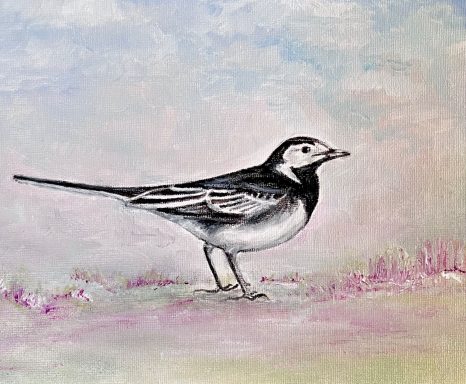 Pied Wagtail £150