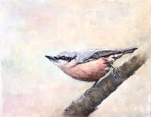 Nuthatch £199
