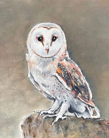 Barn Owl £225