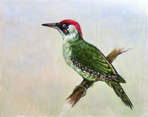 Green Woodpecker £199